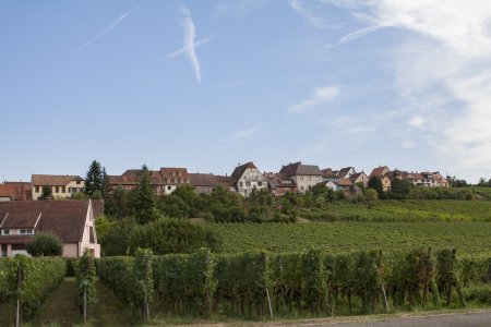 De dorpjes liggen letterlijk tussen de wijnranken